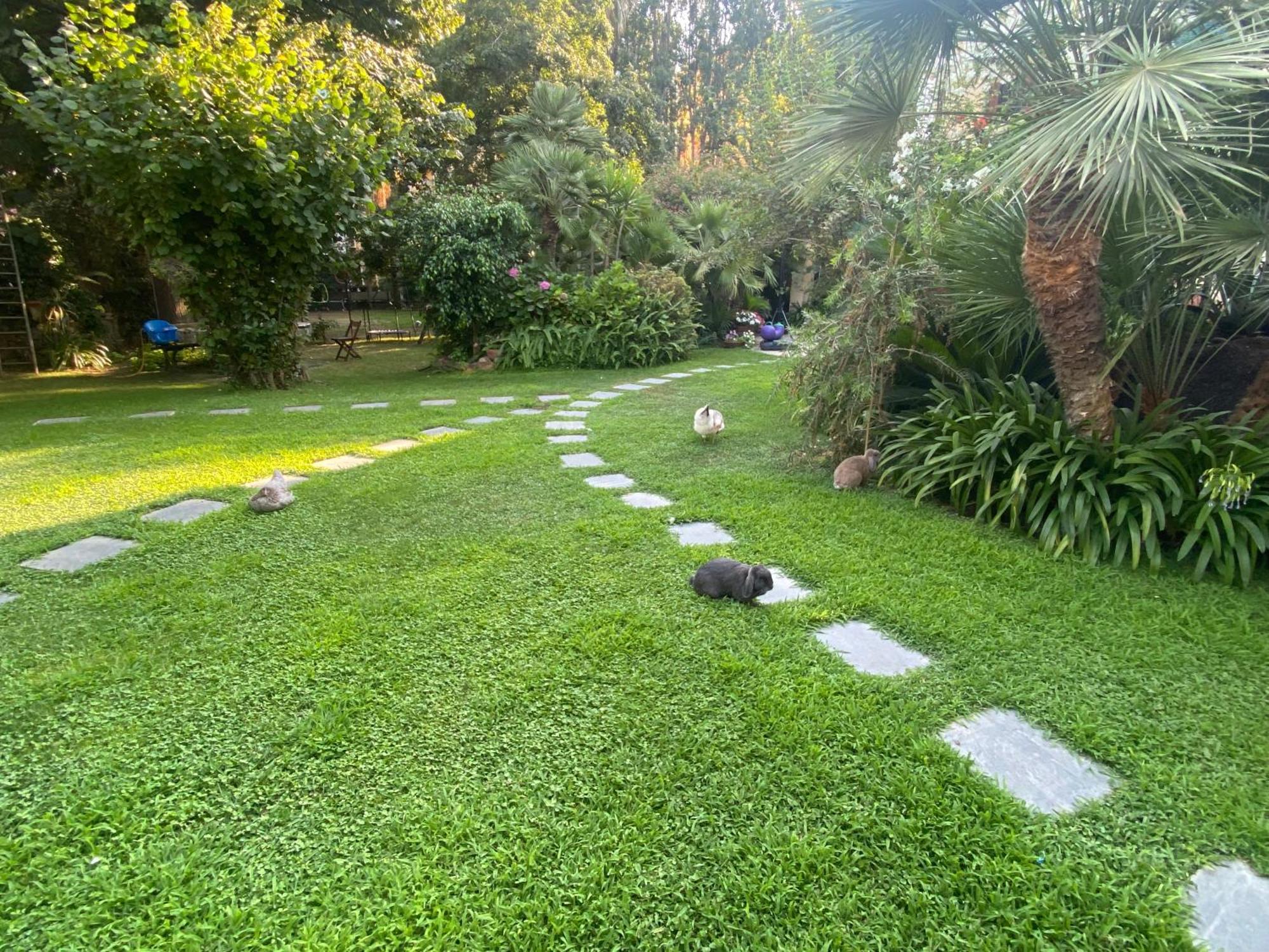 Villa Angelina Casa Limone Валекрозия Екстериор снимка